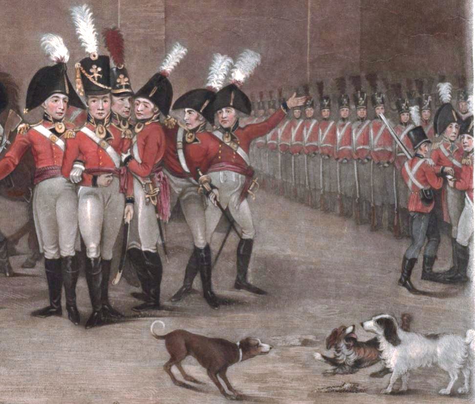 Dogs on Loyal Volunteers parade ground. (published 1803)