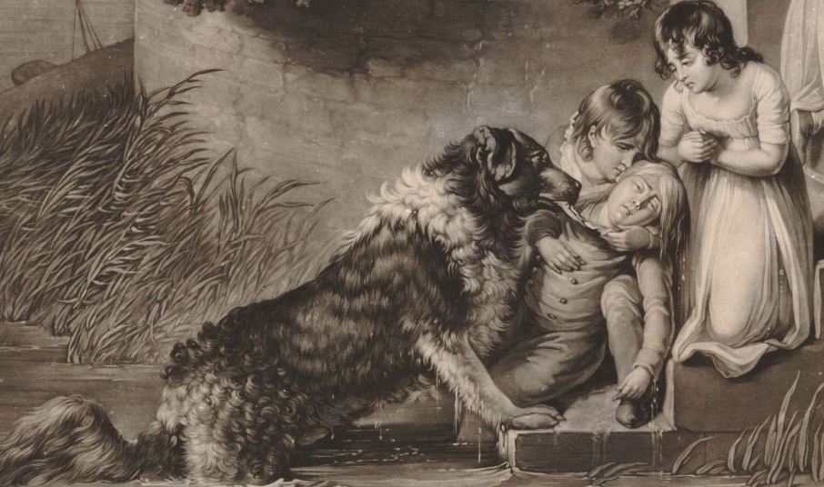 A Newfoundland Dog saving a boy. (pub. 1803) They were common on ships and saved many who fell overboard. One was secreted aboard a transport with the troops only to fall later from a musket ball during the Battle of Corunna.