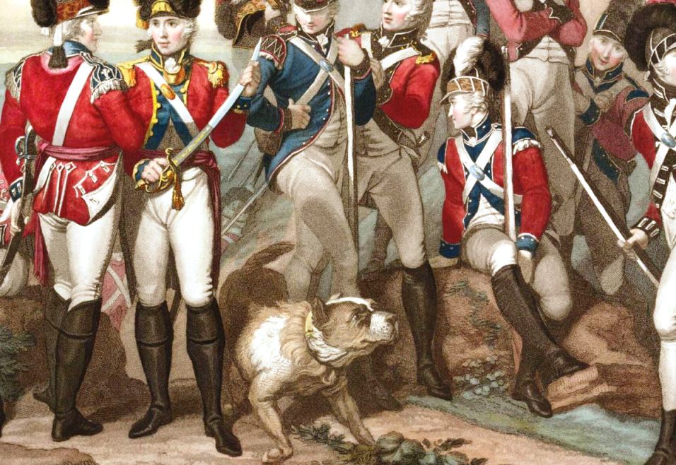 London's Volunteer Corps with a jolly Newfoundland Dog running at their feet (published 1799)