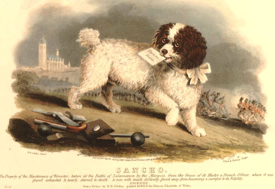 Sancho the poodle at the Battle of Salamanca. The message in his mouth says "For my owner" in Spanish. (pub. 1813)